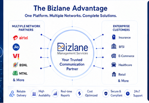 The Bizlane Advantage - one platform, multiple networks, complete solutions